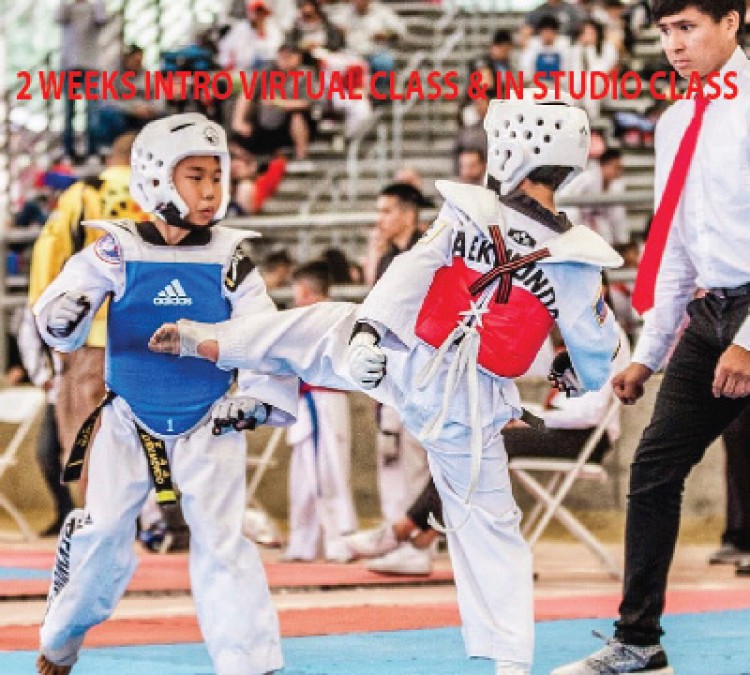 Elite Fitness Taekwondo (Irvine,&nbspCA)